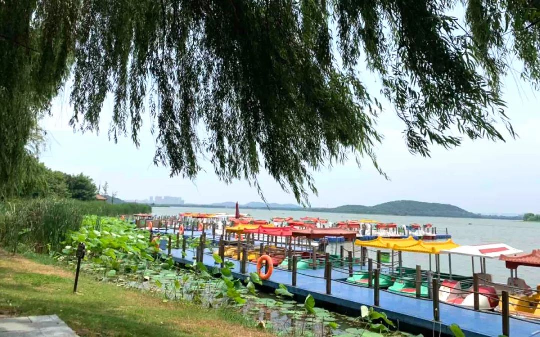 巨精團(tuán)建 | 打卡后官湖濕地公園，頂住高溫出來(lái)燒烤的都是真愛(ài)呀~